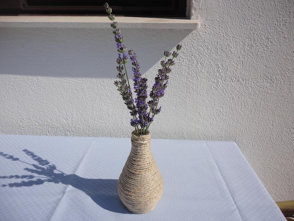 Guesthouse Apartment Bozica โบล ภายนอก รูปภาพ